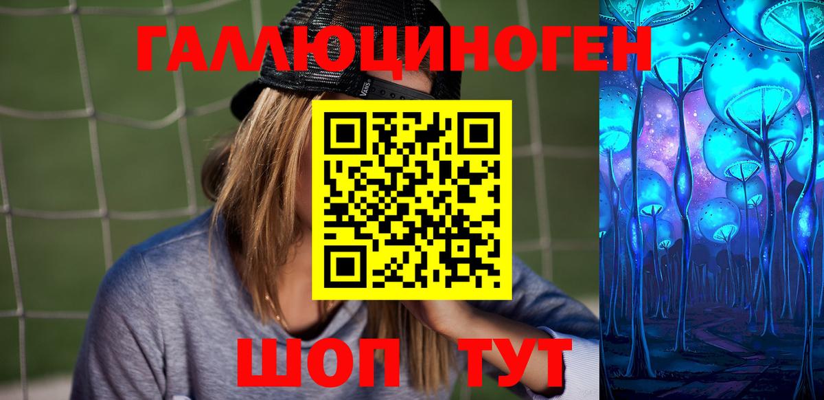 Галлюциногенные грибы Psilocybine cubensis Коряжма