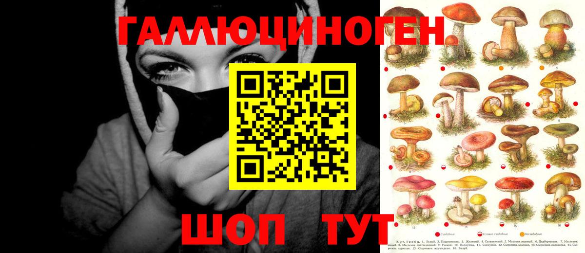 Коряжма  наркошоп  Вход с VPN  Псилоцибиновые грибы мицелий 